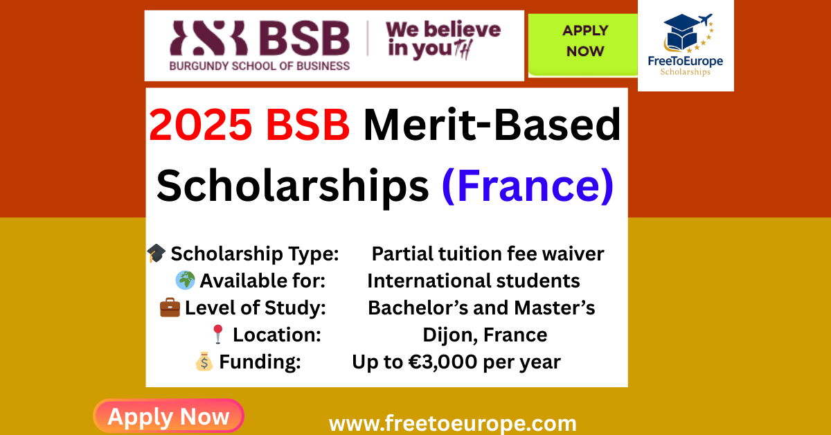 2025 BSB Merit-Based Scholarships (France)